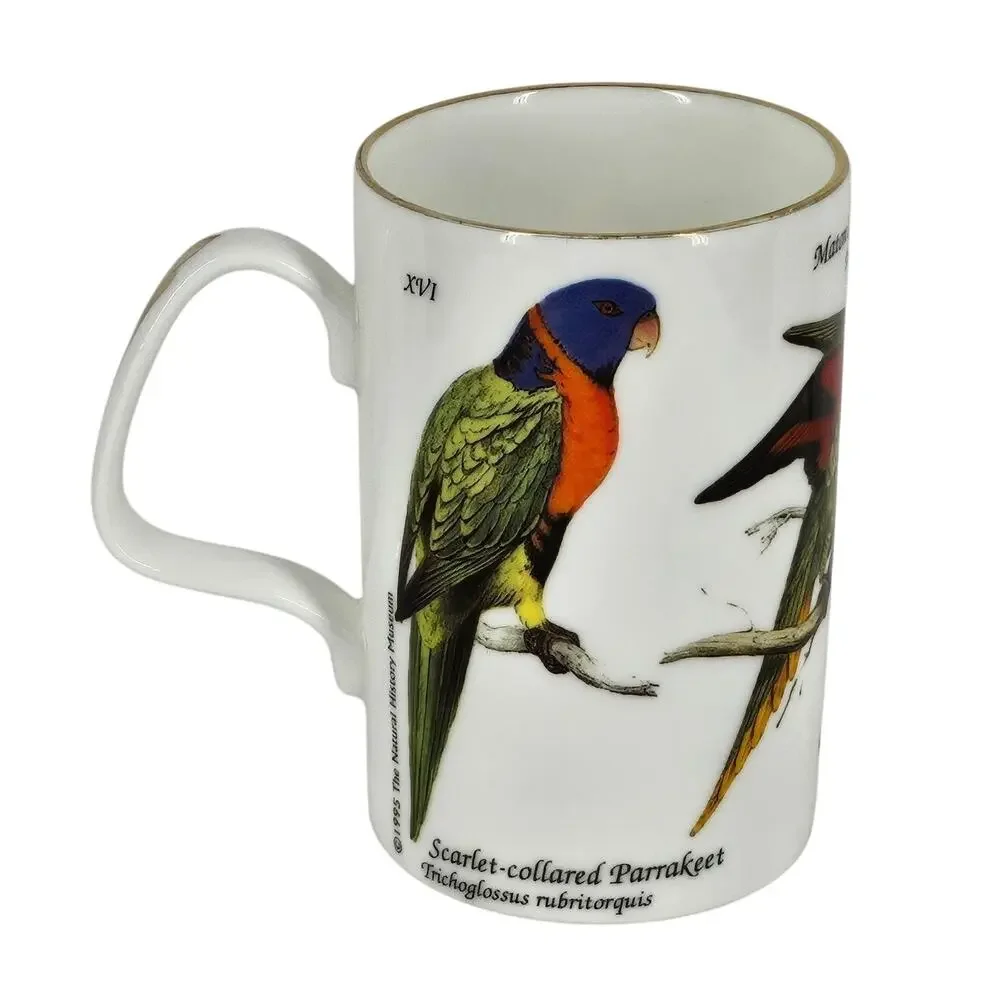 STAFFORDSHIRE VINTAGE TABLEWARE MUG – XVI, XX, XIII PARROTS & PARAKEETS SERIES